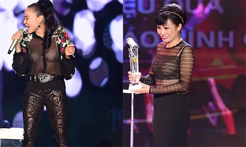 Hình ảnh lộ nội y phản cảm của Thu Minh, Phương Thanh