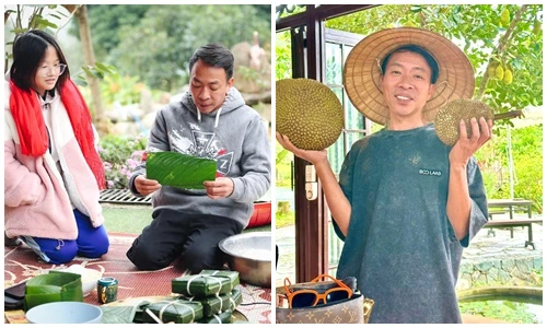 Cuộc sống của ca sĩ Việt Hoàn trong nhà vườn rộng 10.000m2