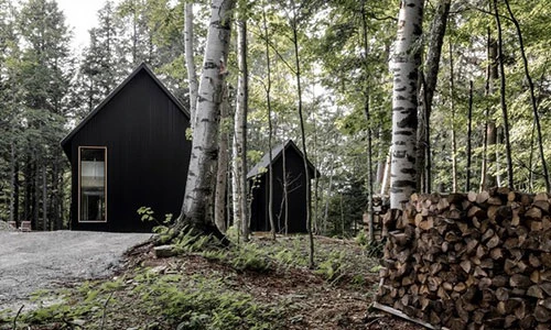 Gợi ý tuyệt vời cho đại gia thích làm nhà trong rừng