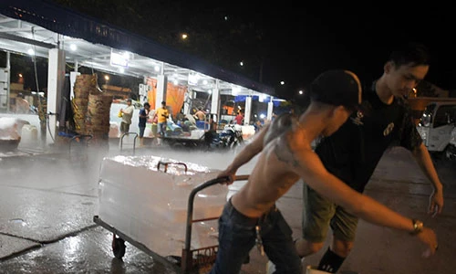 Nghề vác đá cây ở Sài Gòn mang thu nhập ổn định cả chục triệu/tháng