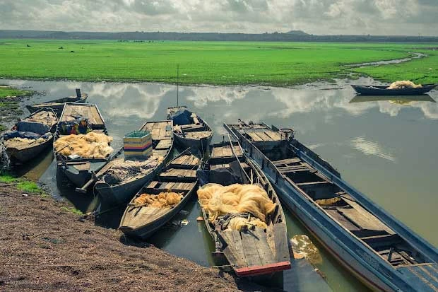 Trảng cỏ non đẹp như tranh ở hồ Trị An