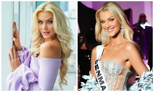 Vẻ đẹp không góc chết của tân Miss Universe 2024