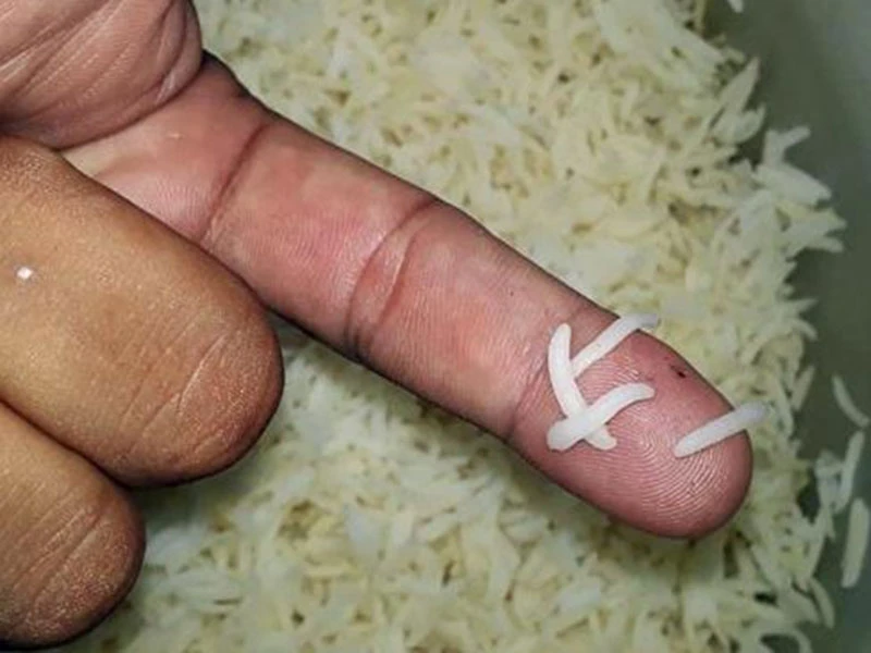 Video: Sự thật về loại gạo không nở, đốt có mùi khét nghi gạo giả