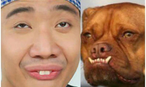 Sặc cười ảnh dìm hàng Trấn Thành và loạt sao Việt