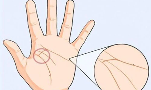 Đường chỉ tay nhận biết người giàu sang phú quý