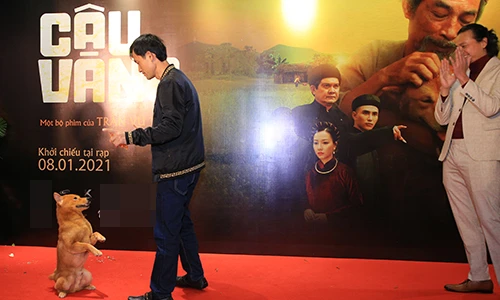 Cậu Vàng trình diễn ngoạn mục trên thảm đỏ ra mắt phim