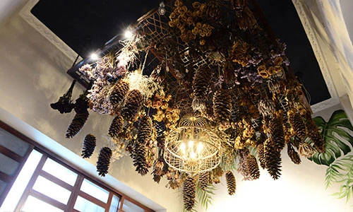 Mê mẩn quán cà phê trong lòng biệt thự hơn 100 tuổi ở SG