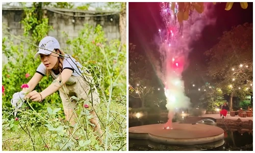 Cuộc sống của Mỹ Tâm trong biệt thự nhà vườn