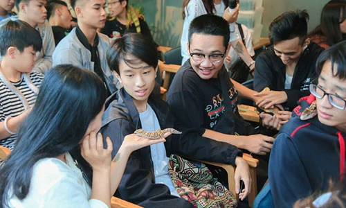 Ảnh: Trai xinh gái đẹp bỏ tiền triệu mua rắn, thằn lằn làm thú cưng