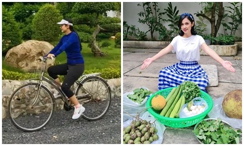 Cuộc sống của Việt Trinh trong nhà vườn rộng 3.000m2