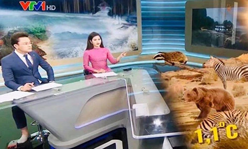 Hữu Bằng lên sóng lộ chân trần: Đầy sạn khi BTV “on air”