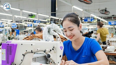 Dệt may TNG bị xử lý về thuế 369,4 triệu đồng 