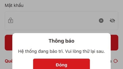Nhiều người dùng đổ xô vào VNeID xem địa chỉ mới