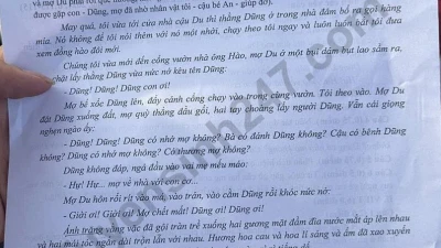 Gợi ý đáp án môn Văn thi vào lớp 10 năm 2025 của Nam Định