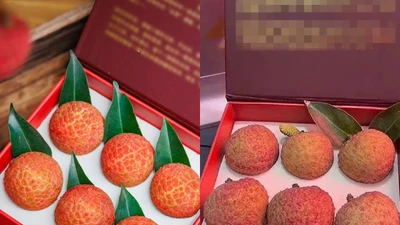 Sự thật về quả vải 181 triệu đồng đang xôn xao mạng xã hội