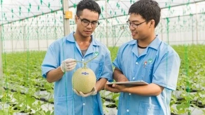 Công ty con của Tập đoàn PAN lãi hơn 1,6 tỷ đồng mỗi ngày