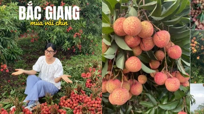 Nghỉ hè không "xả hơi": Khi sinh viên về phụ mẹ bán vải