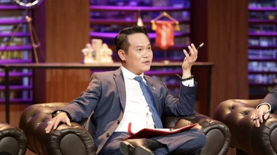 Đầu tư DHA của Shark Đặng Hồng Anh lãi gần 2 tỷ năm 2024, sạch nợ trái phiếu
