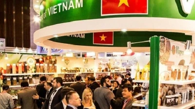 Thủ tướng chỉ thị các nhiệm vụ, giải pháp trọng tâm thúc đẩy xuất khẩu