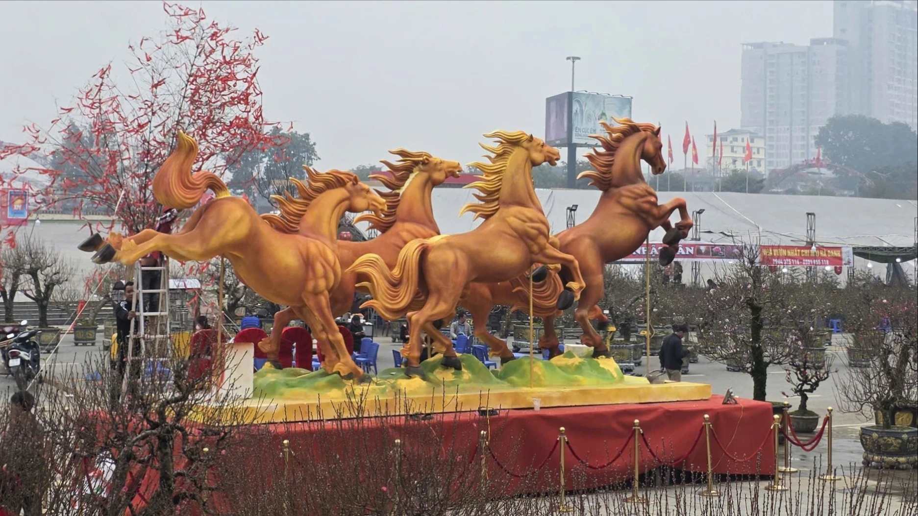Cận cảnh dàn chiến mã khổng lồ đón Tết 2026 tại Phú Thọ