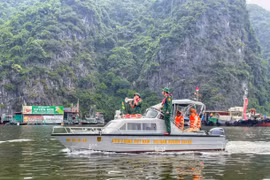 Hải Phòng sẵn sàng ứng phó diễn biến bão WIPHA