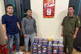 Bị bắt quả tang khi chở gần 14 kg pháo hoa nổ trái phép qua Hải Phòng