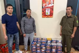 Bị bắt quả tang khi chở gần 14 kg pháo hoa nổ trái phép qua Hải Phòng