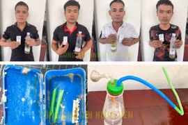 Triệt phá ổ ma túy tại xưởng sửa ô tô ở Hưng Yên