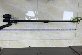 Xác định được 2 thiếu niên bắn vỡ kính nhiều ô tô ở Hải Phòng