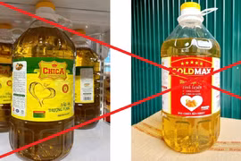 GF Việt Nam sản xuất, buôn bán dầu ăn giả 'Gold Max', 'Tamin Gold', 'ChiCa'