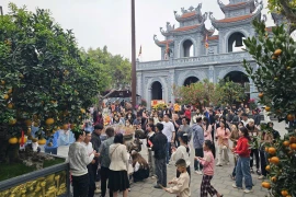 Điều đặc biệt khiến đền Tranh hút khách du xuân, chiêm bái