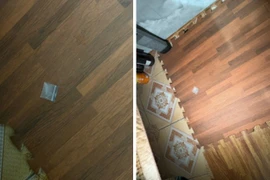 Bảo vệ trường tiểu học ở Hải Phòng tổ chức sử dụng ma túy ngay tại trường