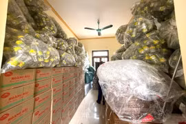 Sản xuất dấm ăn giả số lượng lớn, hình phạt chủ cơ sở Quang Minh?