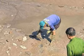 Phát hiện bộ xương người dưới lớp bùn góc ao cá ở Hải Phòng