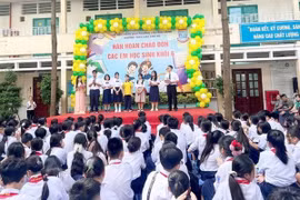 Sắp xếp trường học: Cơ cấu, số lượng, chế độ đối với hiệu trưởng, hiệu phó