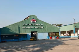 Hơn 120 tấn lợn bệnh, HaLong Canfoco nói không đưa vào sản xuất, cung ứng