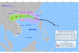 Hải Phòng đình hoãn các cuộc họp chưa cần thiết, ứng phó siêu bão Ragasa