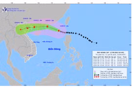 Hải Phòng đình hoãn các cuộc họp chưa cần thiết, ứng phó siêu bão Ragasa