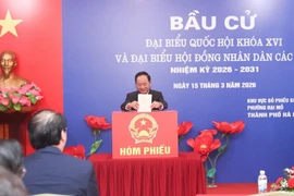 Trưởng Ban Tuyên giáo và Dân vận Trung ương Trịnh Văn Quyết bỏ phiếu bầu cử