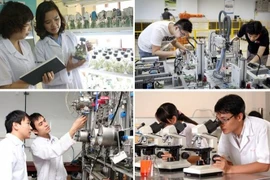 Hải Phòng ban hành Kế hoạch hành động phát triển đội ngũ trí thức