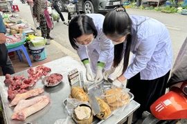 Hải Phòng tăng cường kiểm soát thịt, sản phẩm từ thịt dịp Tết Nguyên đán 2026