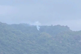 Bộ Quốc phòng thông tin vụ máy bay YAK-130 rơi tại Đắk Lắk