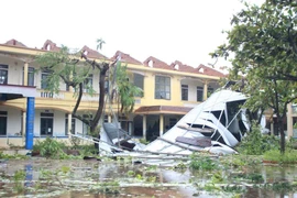 Bão Kajiki khiến 3 người chết, hơn 6.800 nhà tốc mái