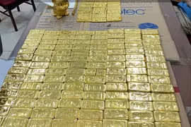 Shark Bình rửa tiền, bố mẹ Mr Pips gửi trăm tỷ, mua 314 lượng vàng đối diện mức án nào?