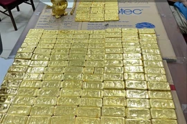 Shark Bình rửa tiền, bố mẹ Mr Pips gửi trăm tỷ, mua 314 lượng vàng đối diện mức án nào?