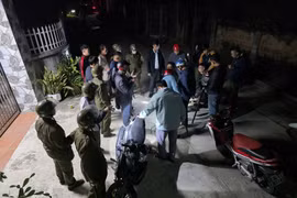 Hải Phòng phát hiện đối tượng tẩm xyanua vào cá khô bẫy chó mèo