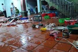 Hưng Yên phát hiện cơ sở giết mổ lợn nhiễm tả lợn Châu Phi số lượng lớn