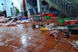 Hưng Yên phát hiện cơ sở giết mổ lợn nhiễm tả lợn Châu Phi số lượng lớn