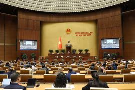 Ngày 11/11, Quốc hội thảo luận về dự án Luật Thi hành án dân sự (sửa đổi)