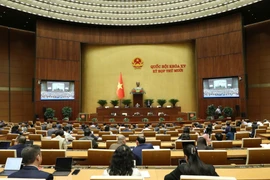 Ngày 11/11, Quốc hội thảo luận về dự án Luật Thi hành án dân sự (sửa đổi)